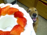 DSCF3306.jpg