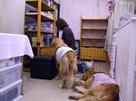 DSCF6915.jpg