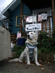 DSCF7849.jpg