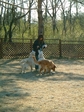 DSCF8143.jpg