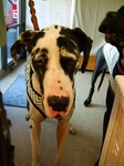 DSCF8397.jpg
