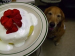 DSCF8425.jpg